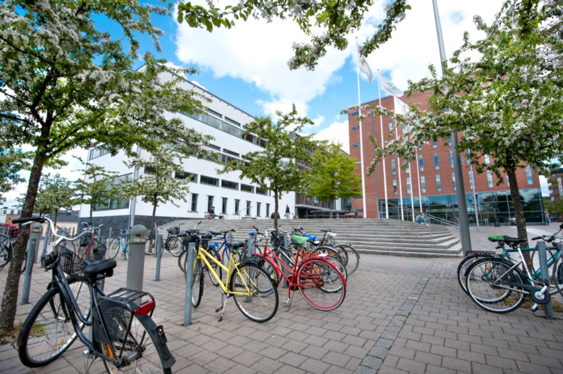 Högskolan Borås Building