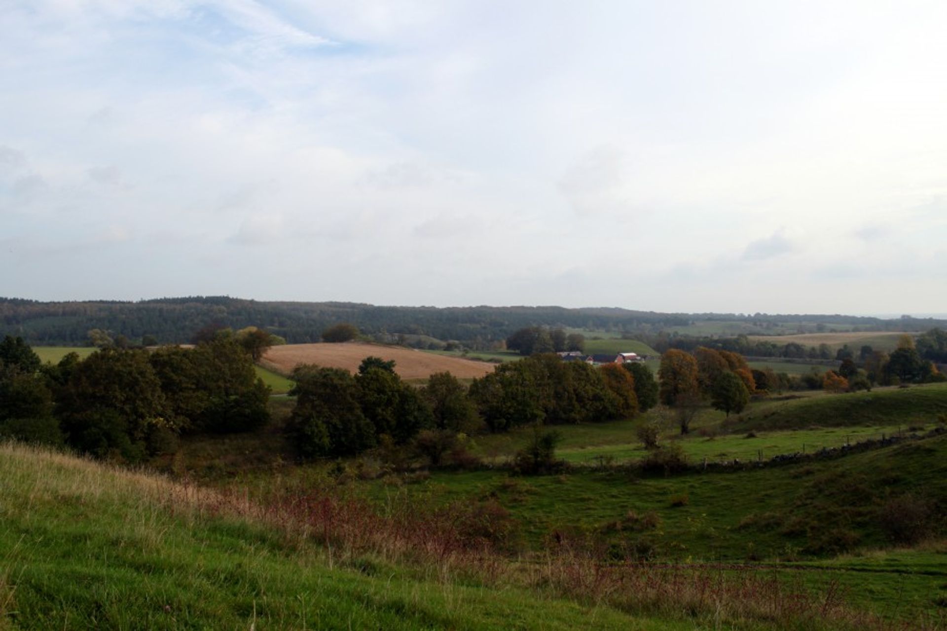 A landscape picture in Brösarps Hills on a meadow where green trees can be seen with orange leaves, and a brown pasture.