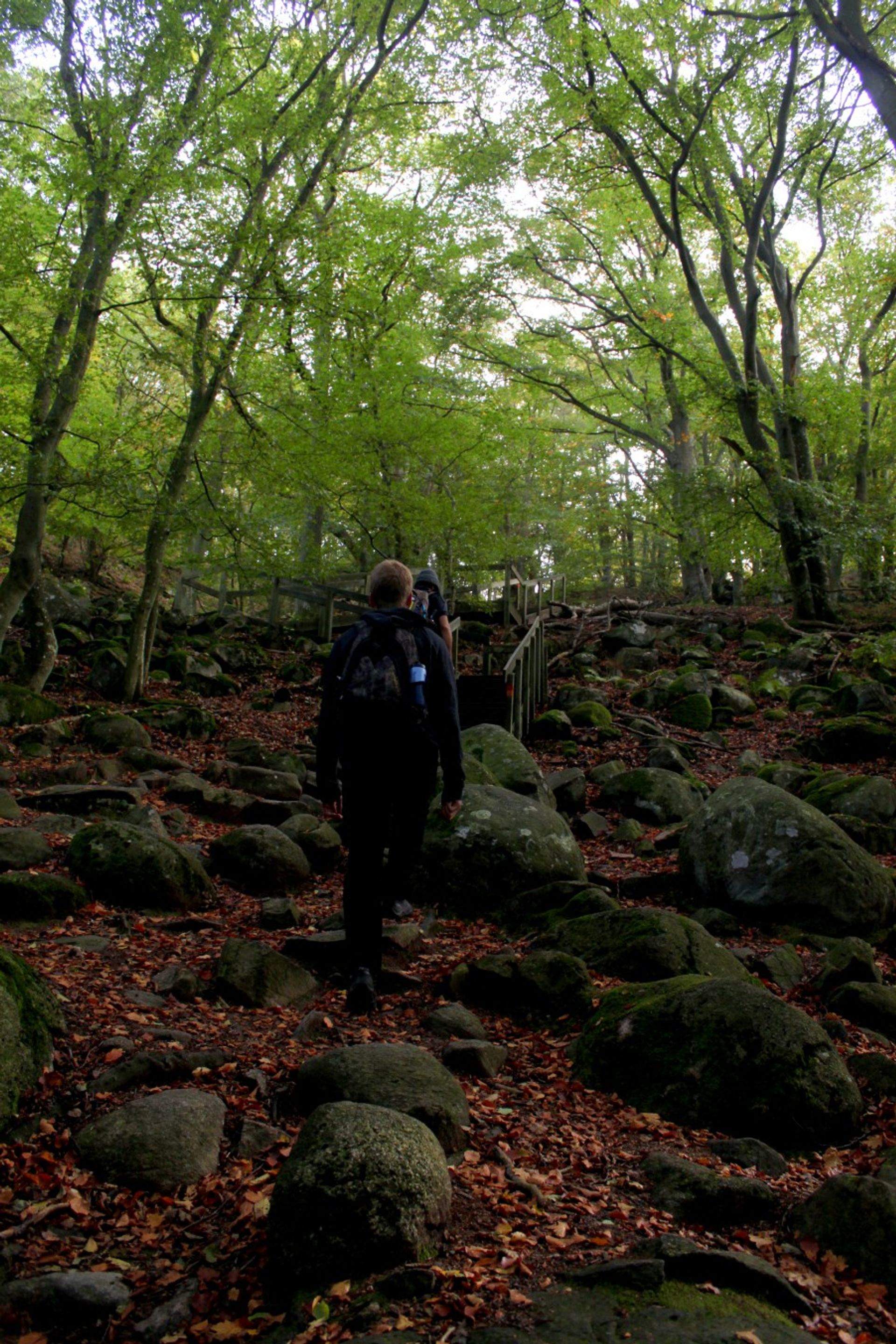 Hiking in the Swedish forest with big rocks around and a wood made stair. 