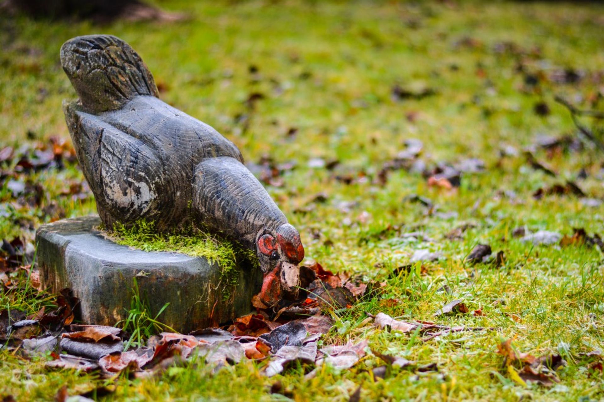 At first glance, I thought this chicken was real and jumped back to avoid stepping on it