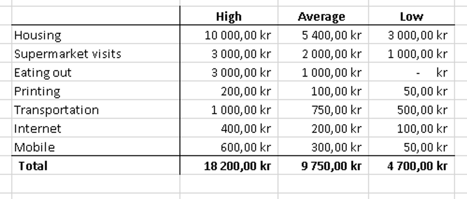 Screenshot of excel file showing cost for  essentials.