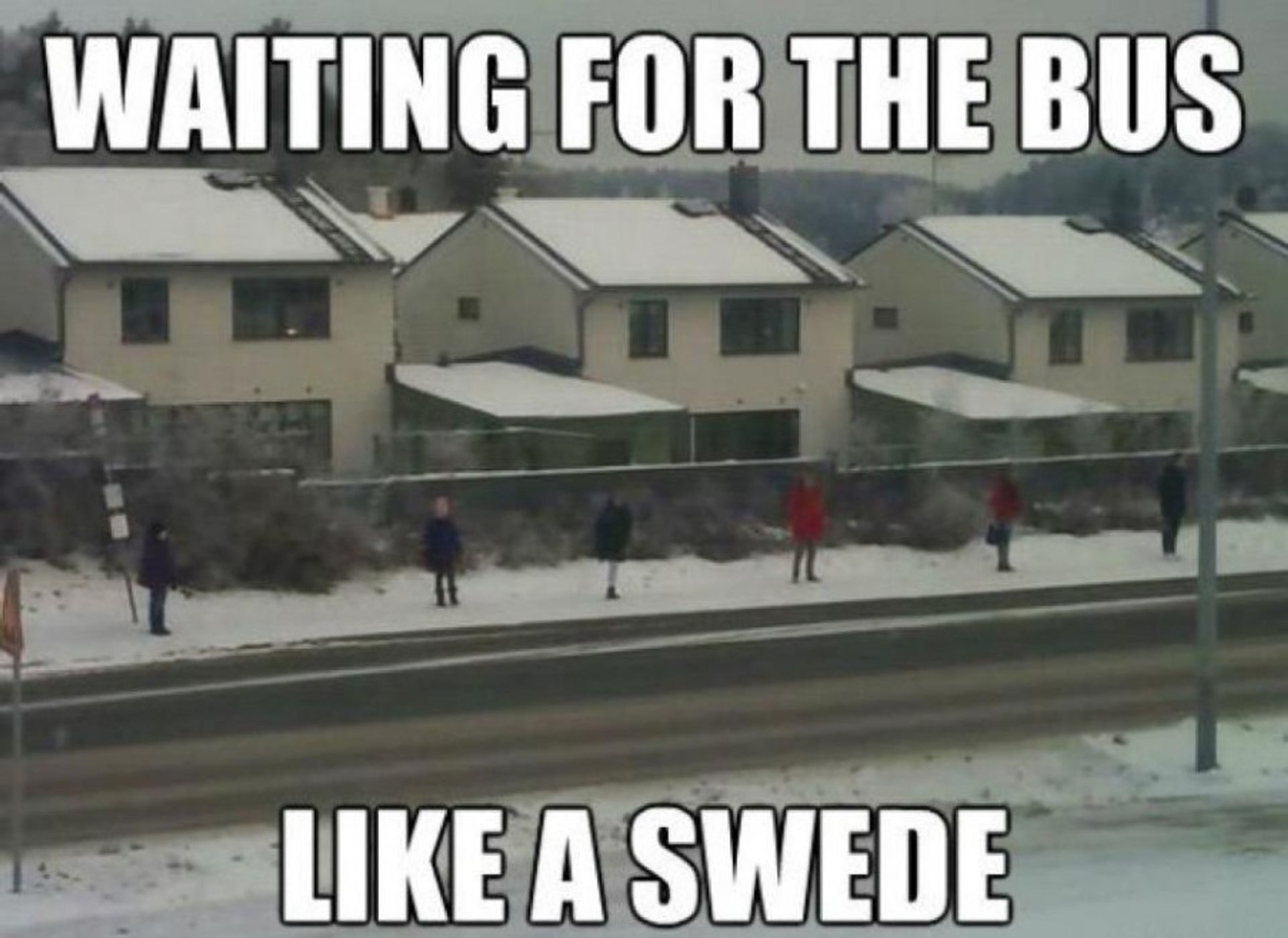 People standing far apart, waiting for the bus. Caption reads, 'Waiting for the bus like a Swede'.