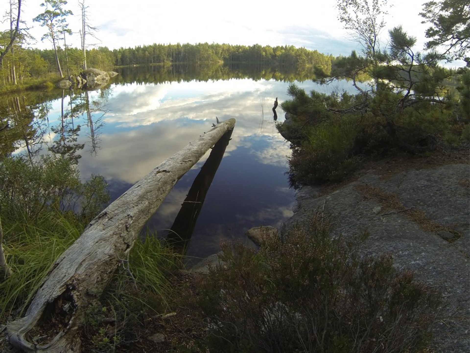 Lake in Tyresta