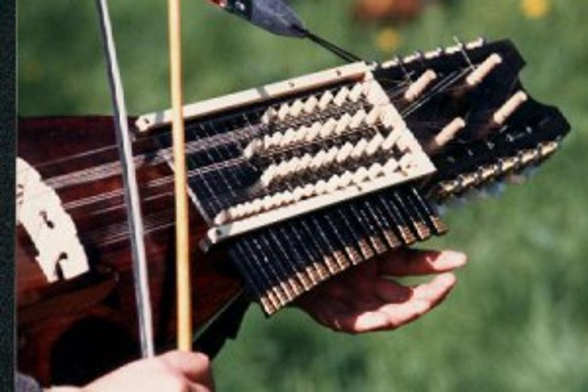 Close-up of a harp.