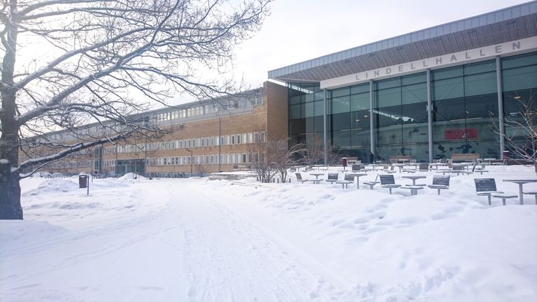 Umeå University - wide 2
