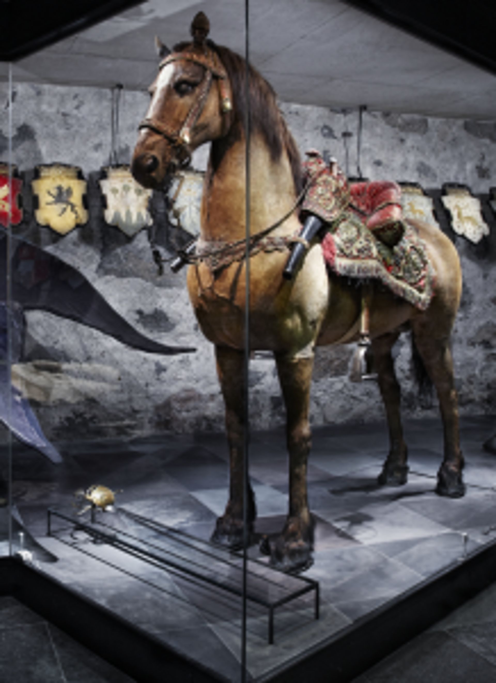 Stuffed horse in a museum cabinet.