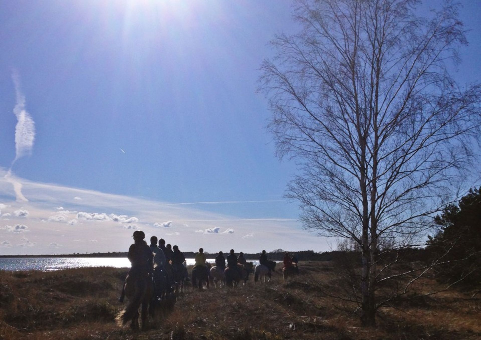 Riding on Icelandic horses in Fårö