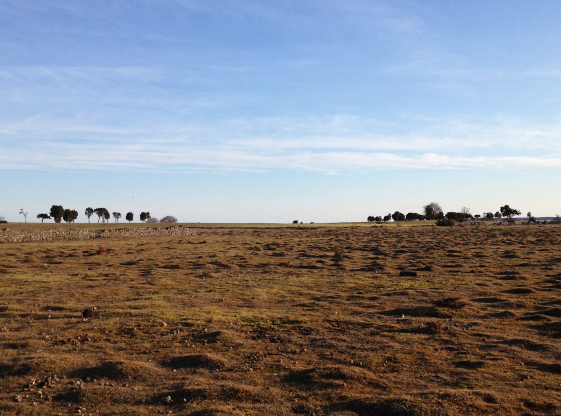 Fårö, Gotland landscape