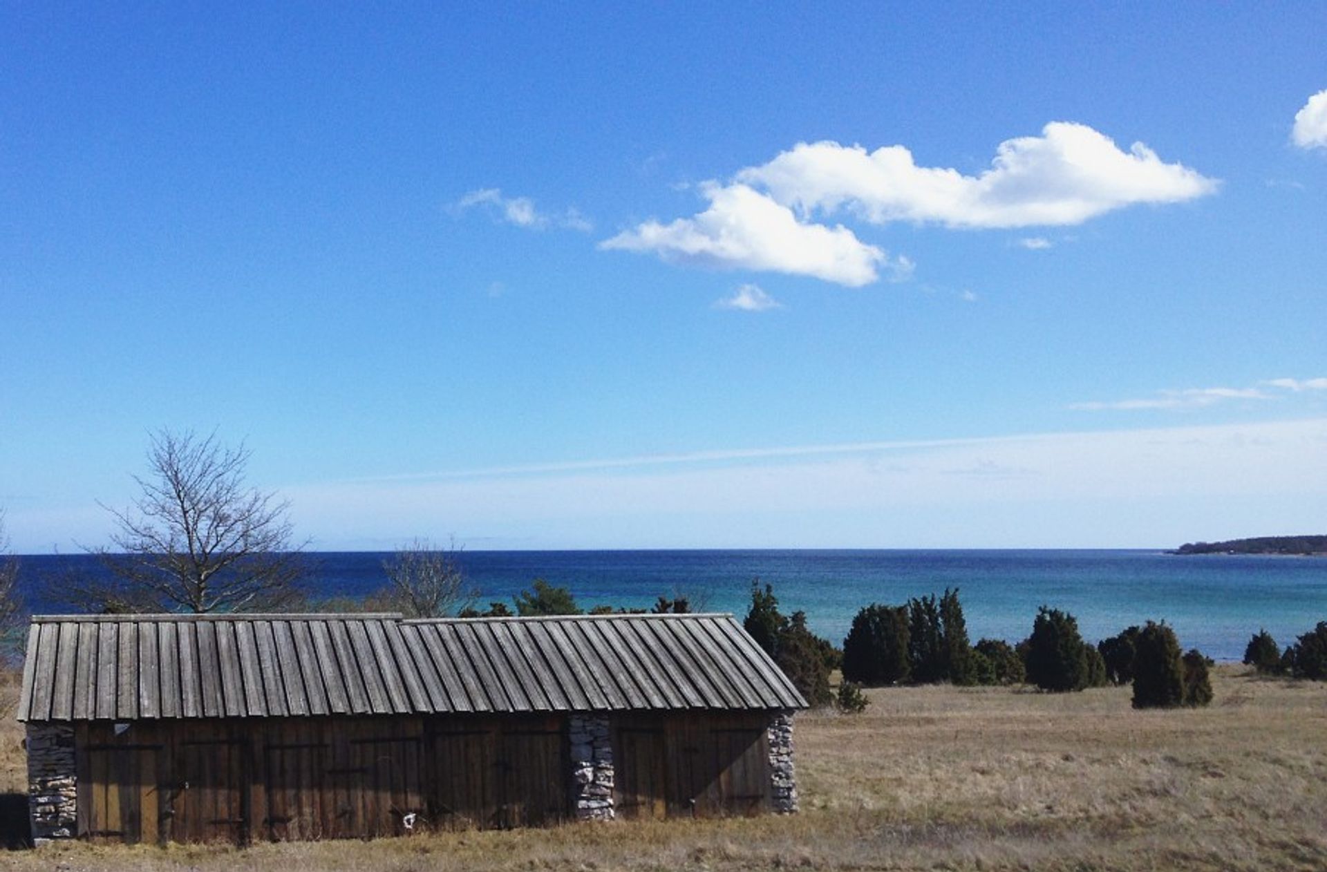 Fårö, Gotland coastal landscape