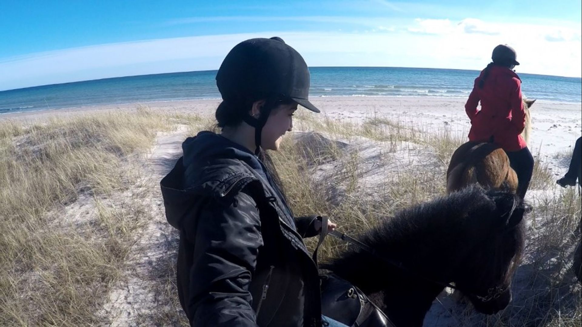 horse back riding Fårö Gotland