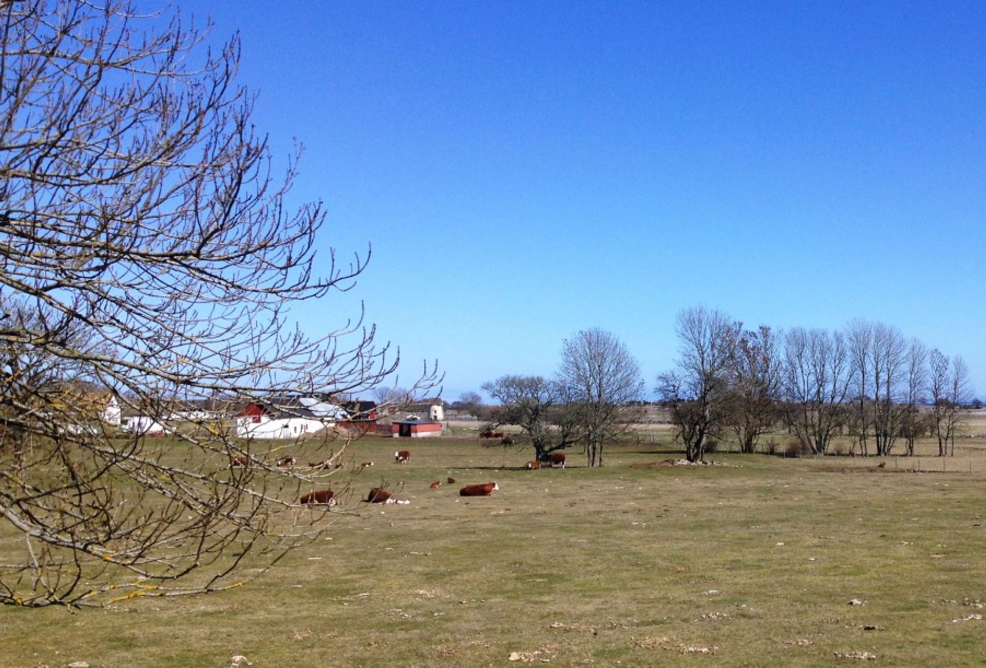 farm in Fårö