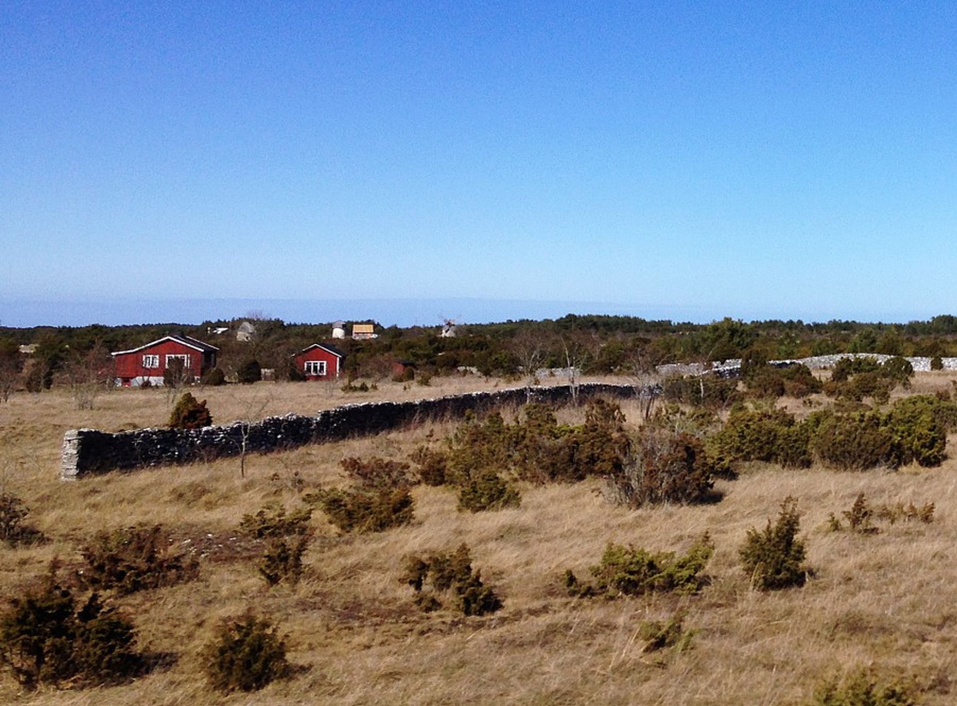 Fårö landscape