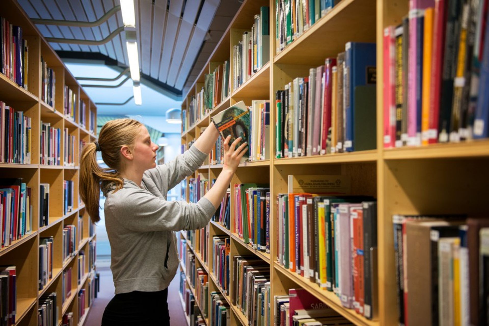 Student taking a book out of a library shelf.
