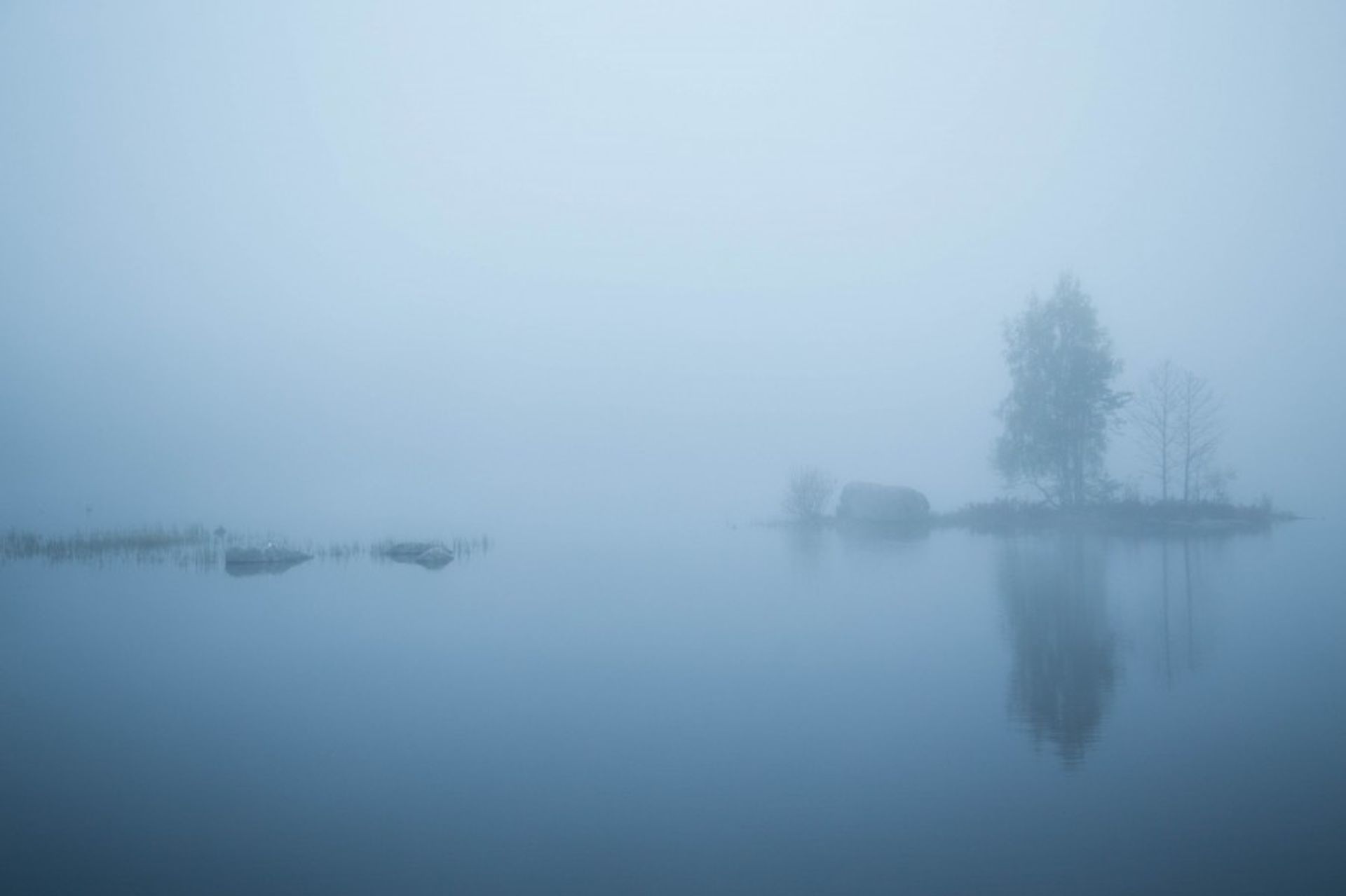 Fog_Umea-2