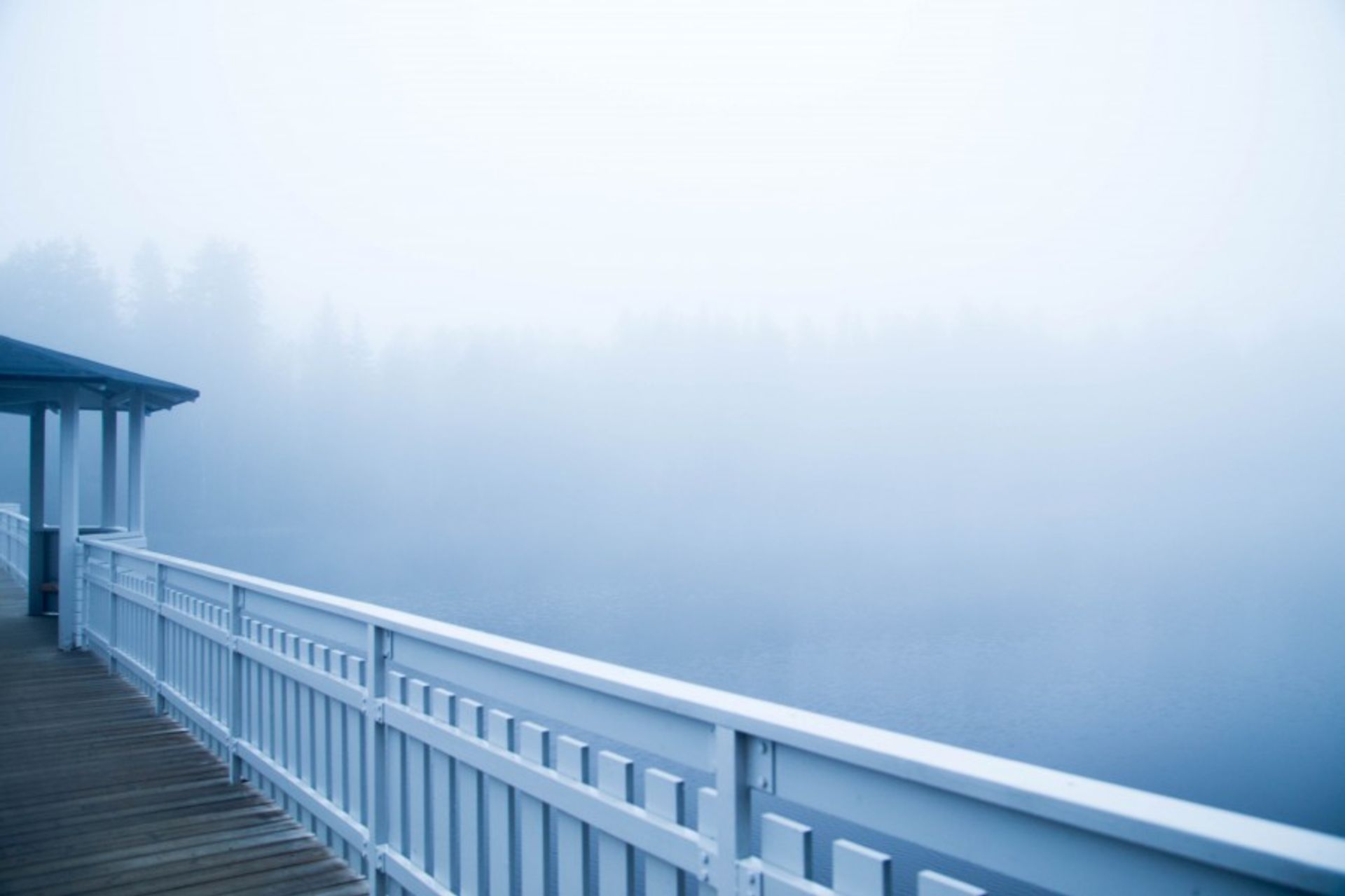 Fog_Umea-6