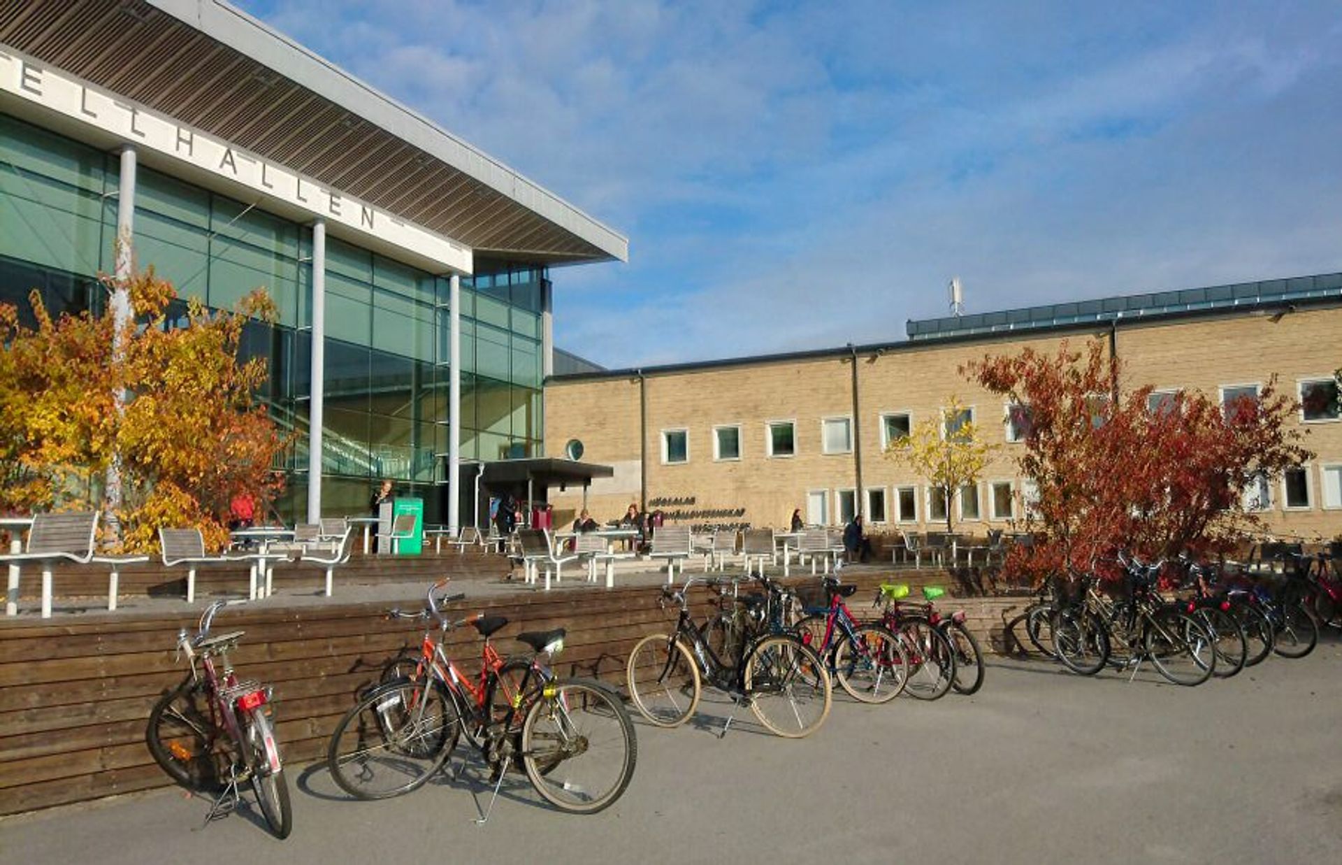 Umea_university