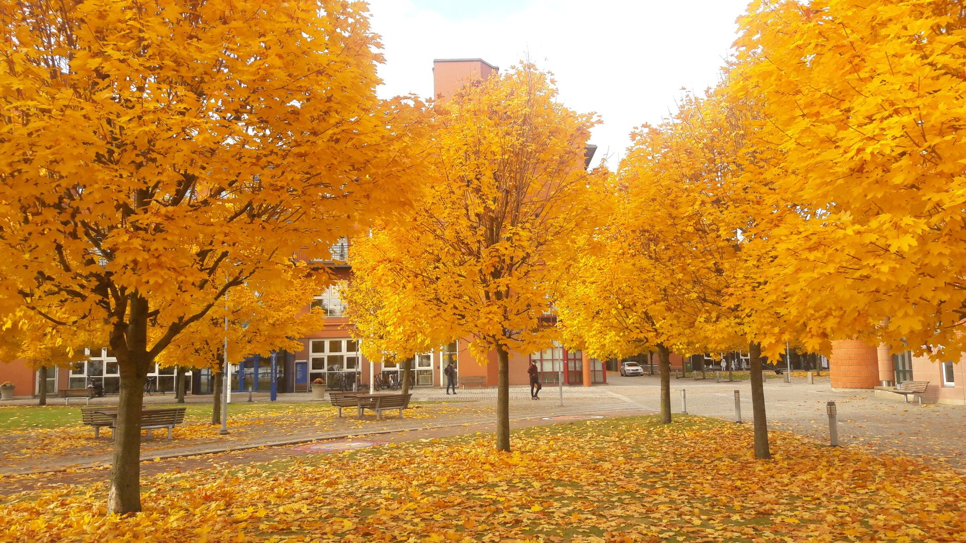 50 shades of Swedish Autumn