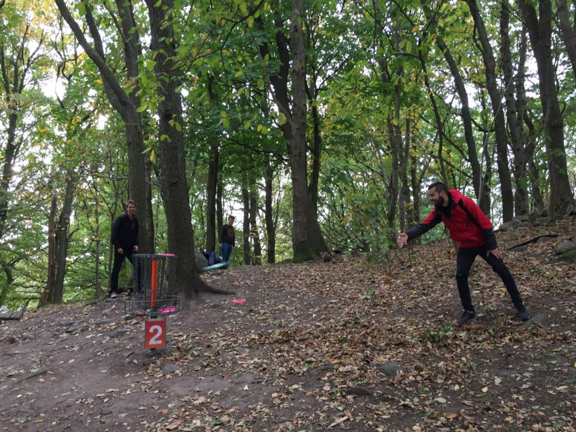 Slottsskogen_Disc_Golf_2