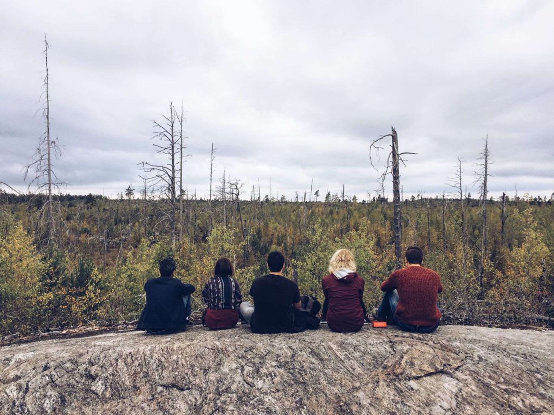 Friends in the park