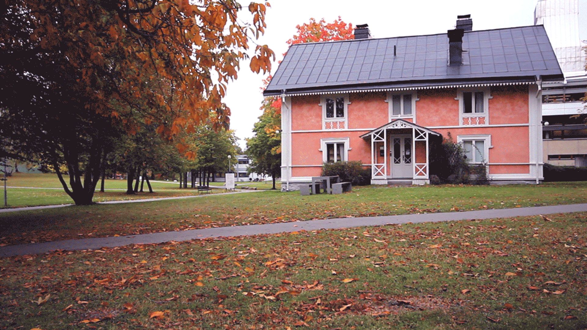 Pink-house-and-bike