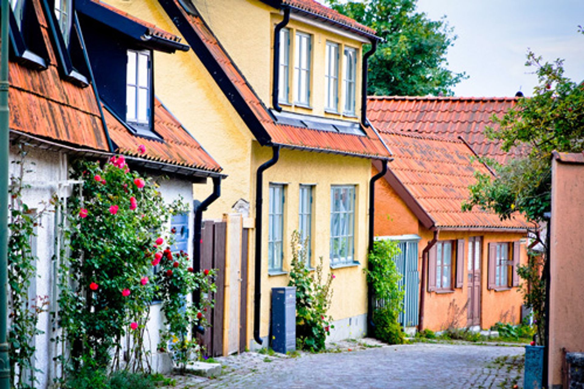 Yellow and orange houses and a cobbled lane in Visby.