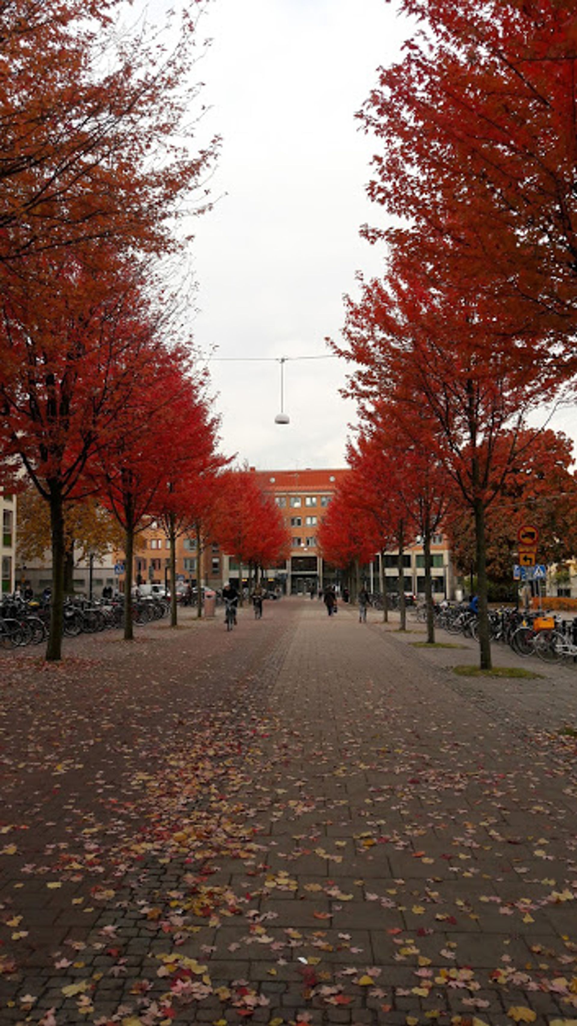 A love letter to Gothenburg