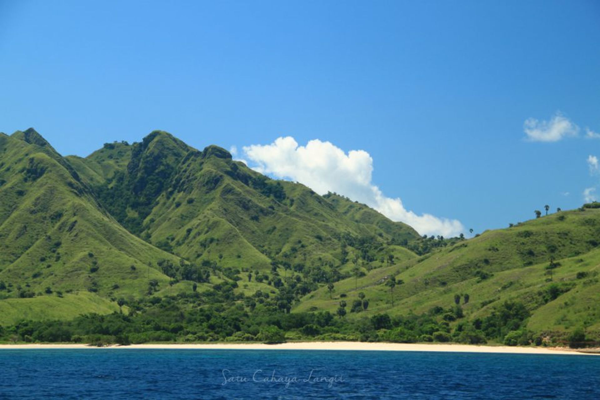 Landscape in Komodo National Park in Indonesia