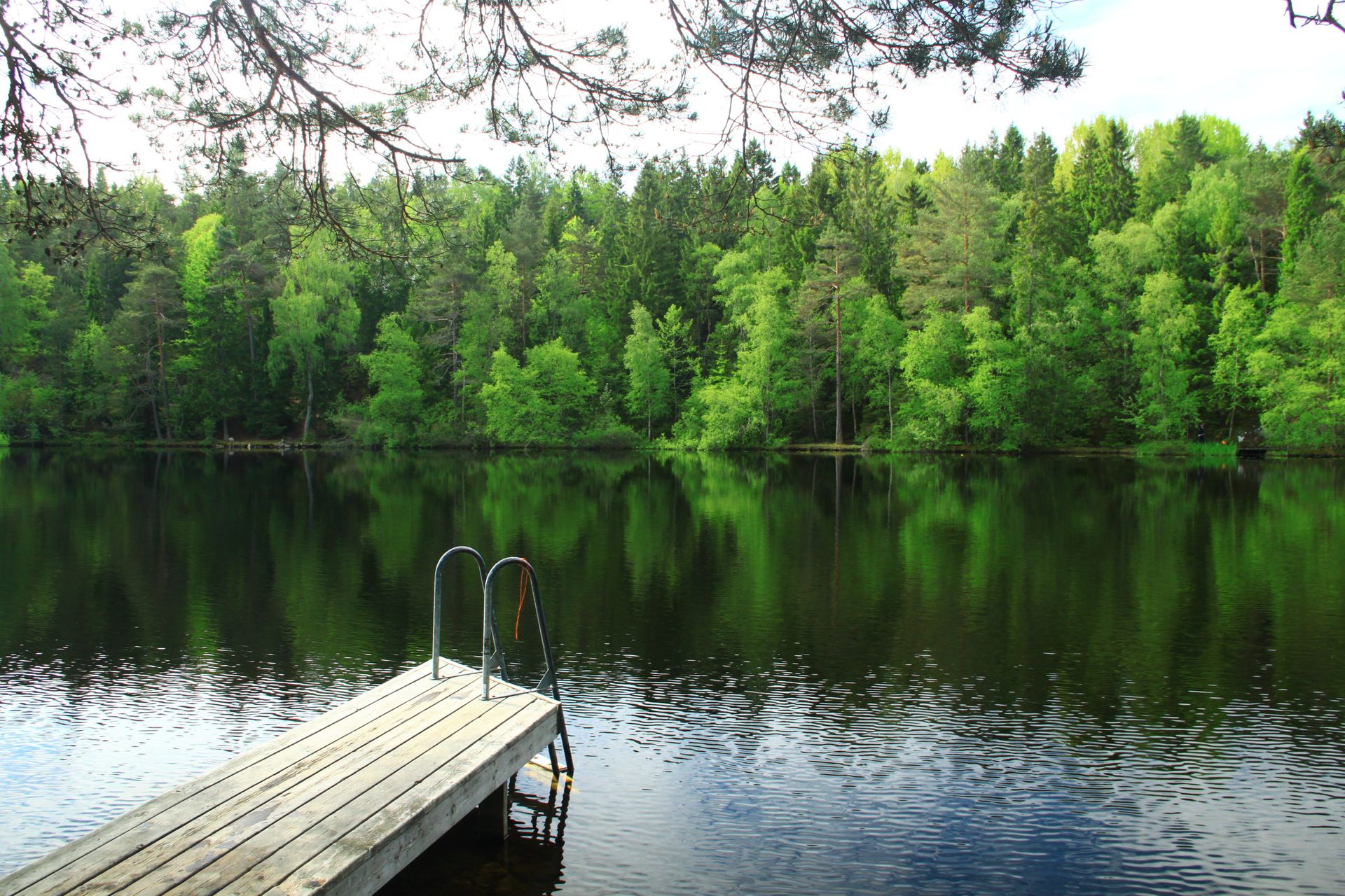 Lakes in Swedish forest