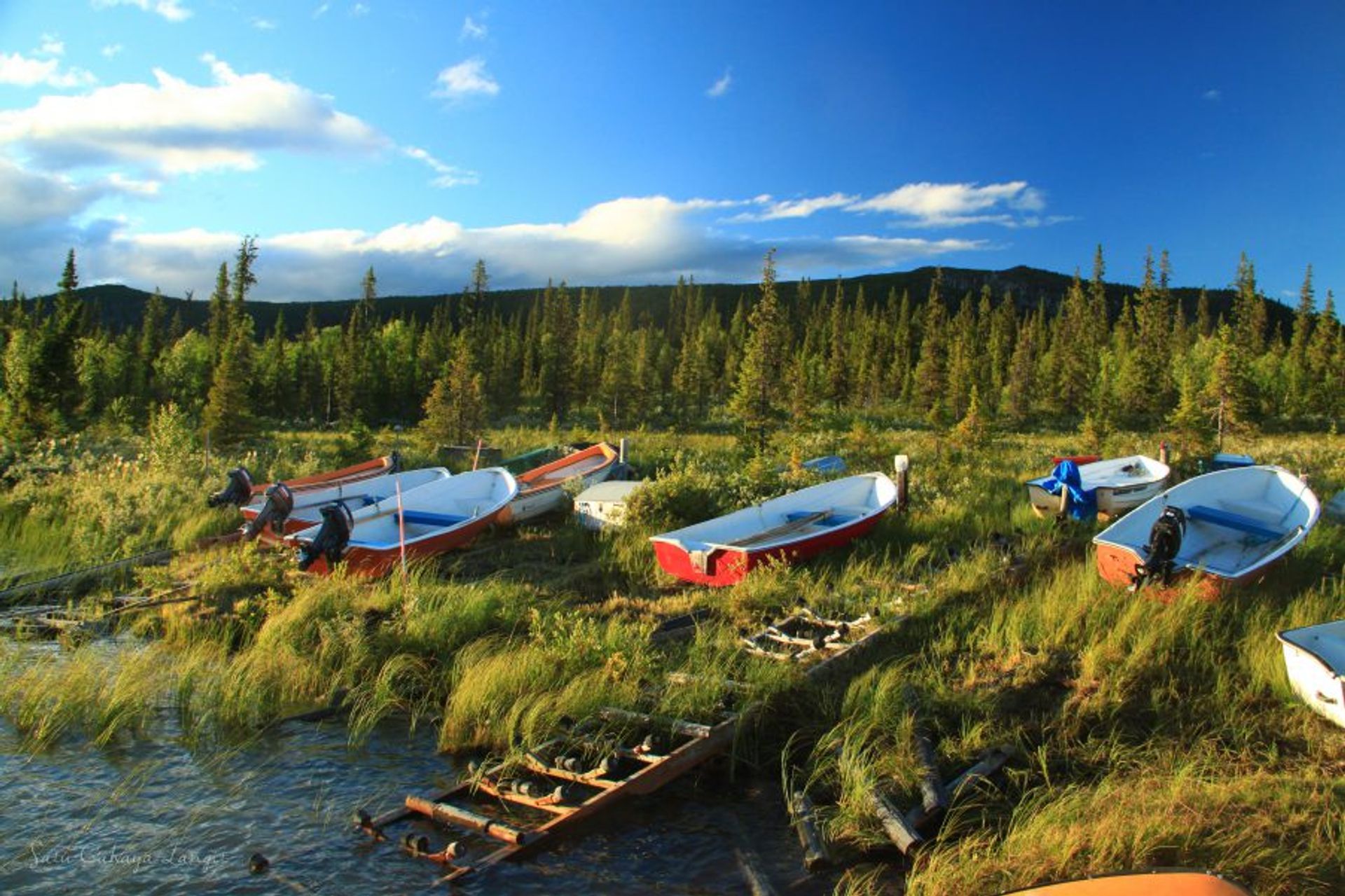 Small boats on the grass beside a river.