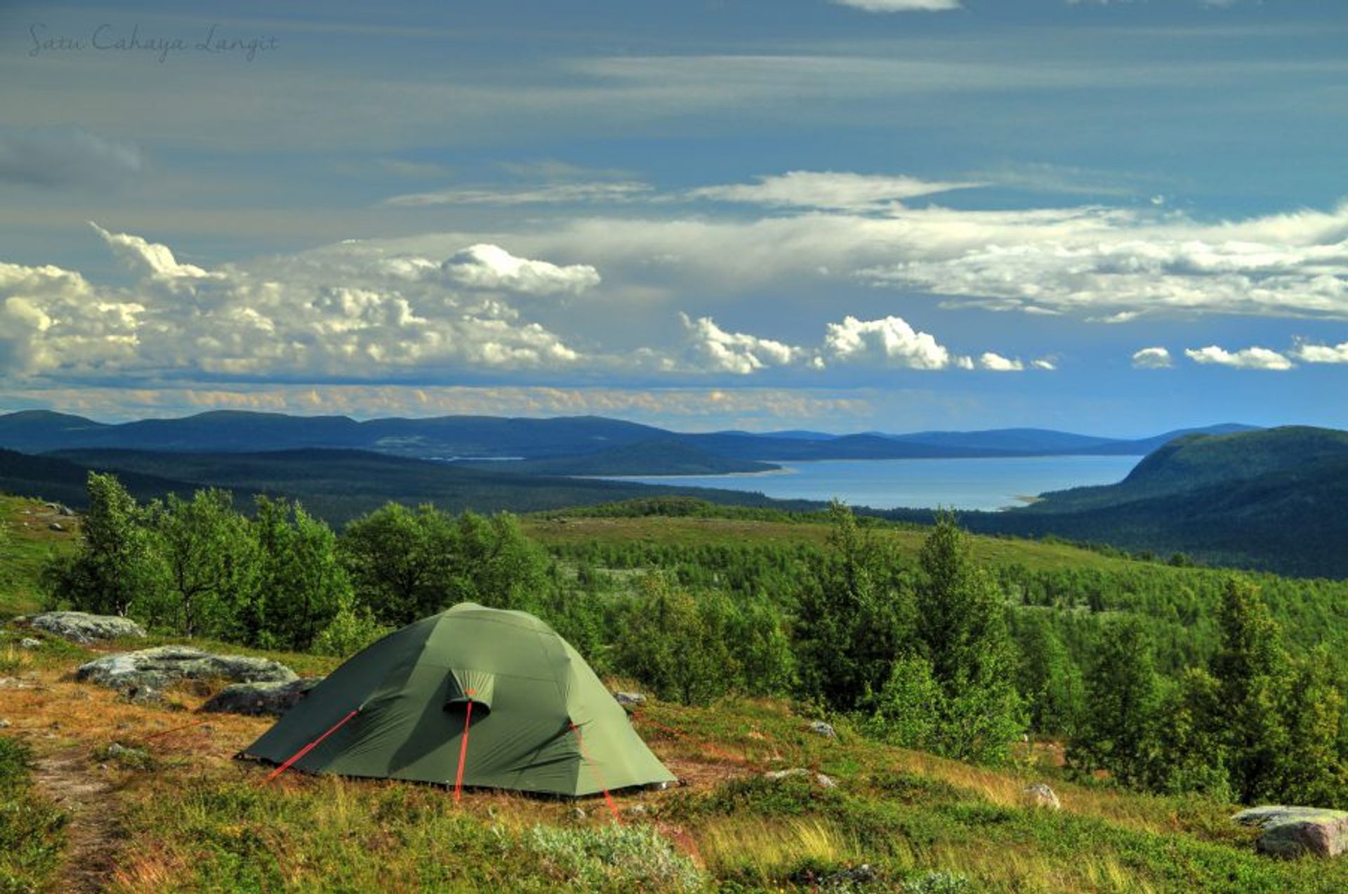 A green tent in a clearing.