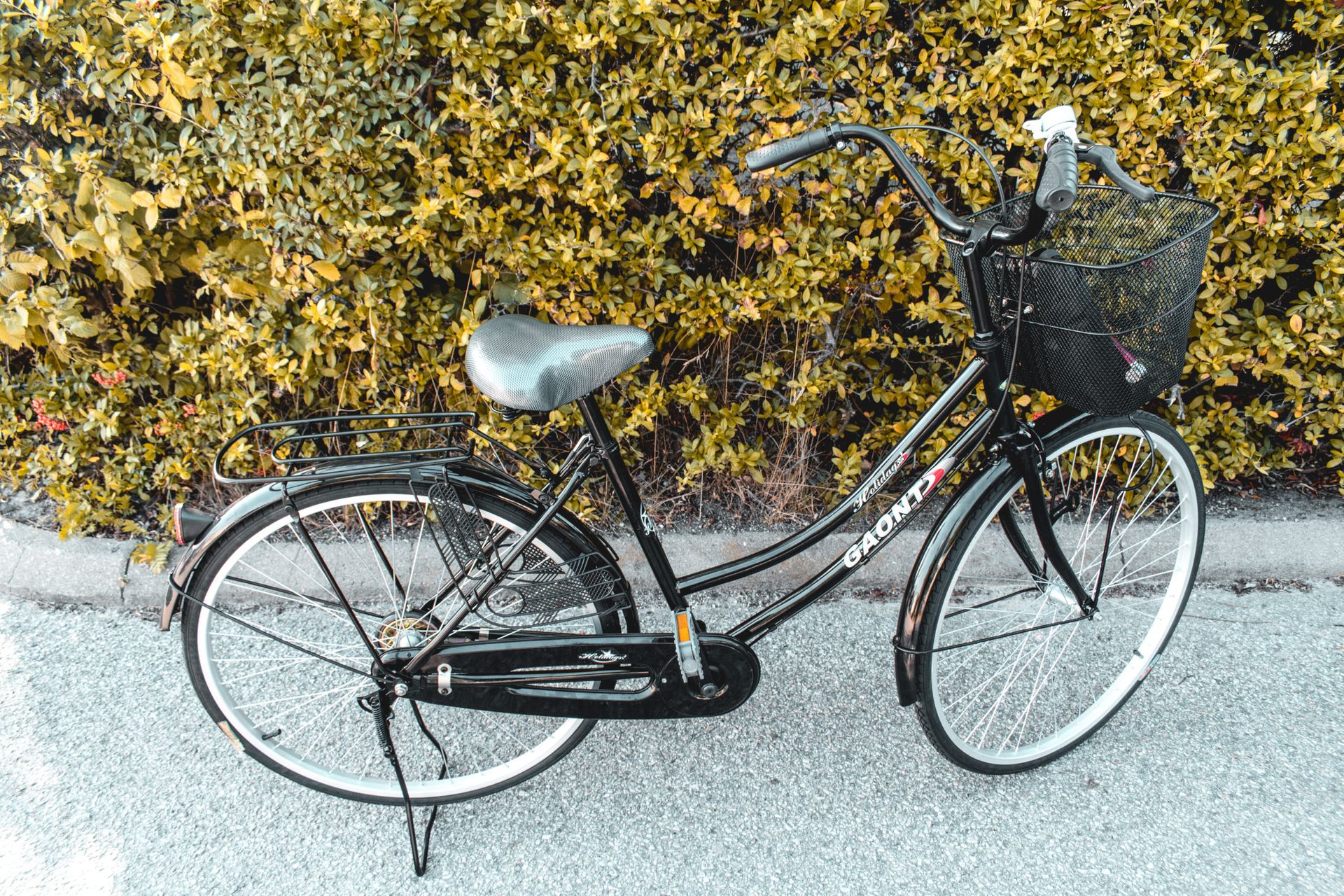 Bike in Lund