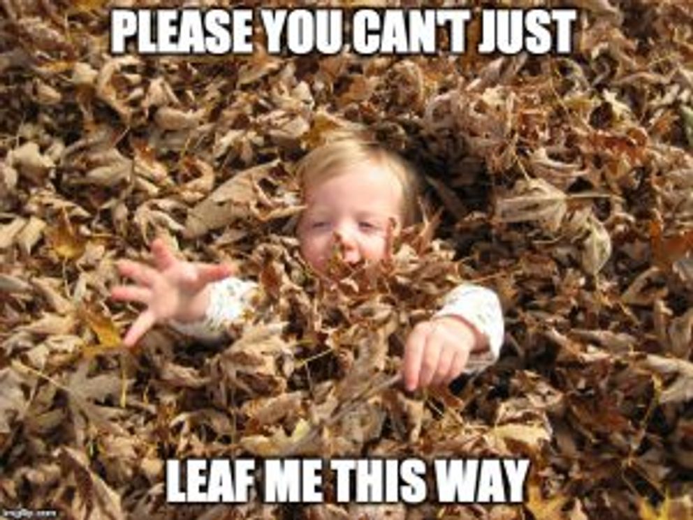 Fall meme. Leaves meme. Leaves meme father autumn.