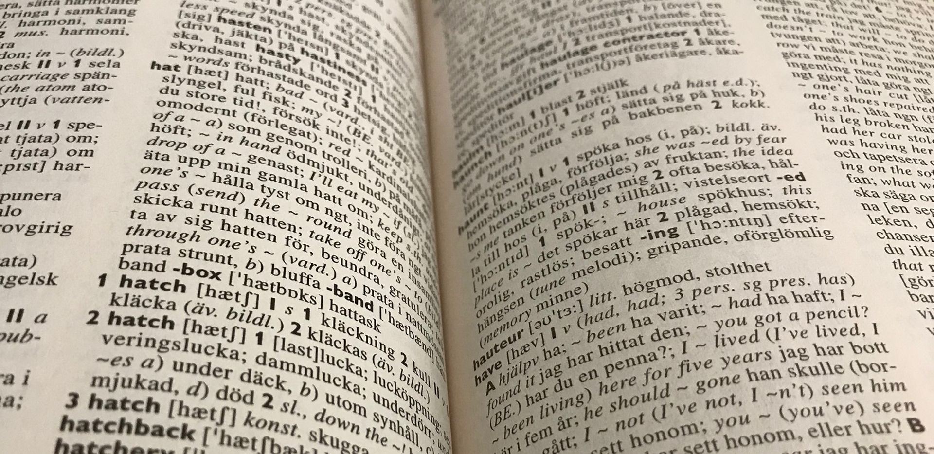 Close-up of pages in a dictionary.