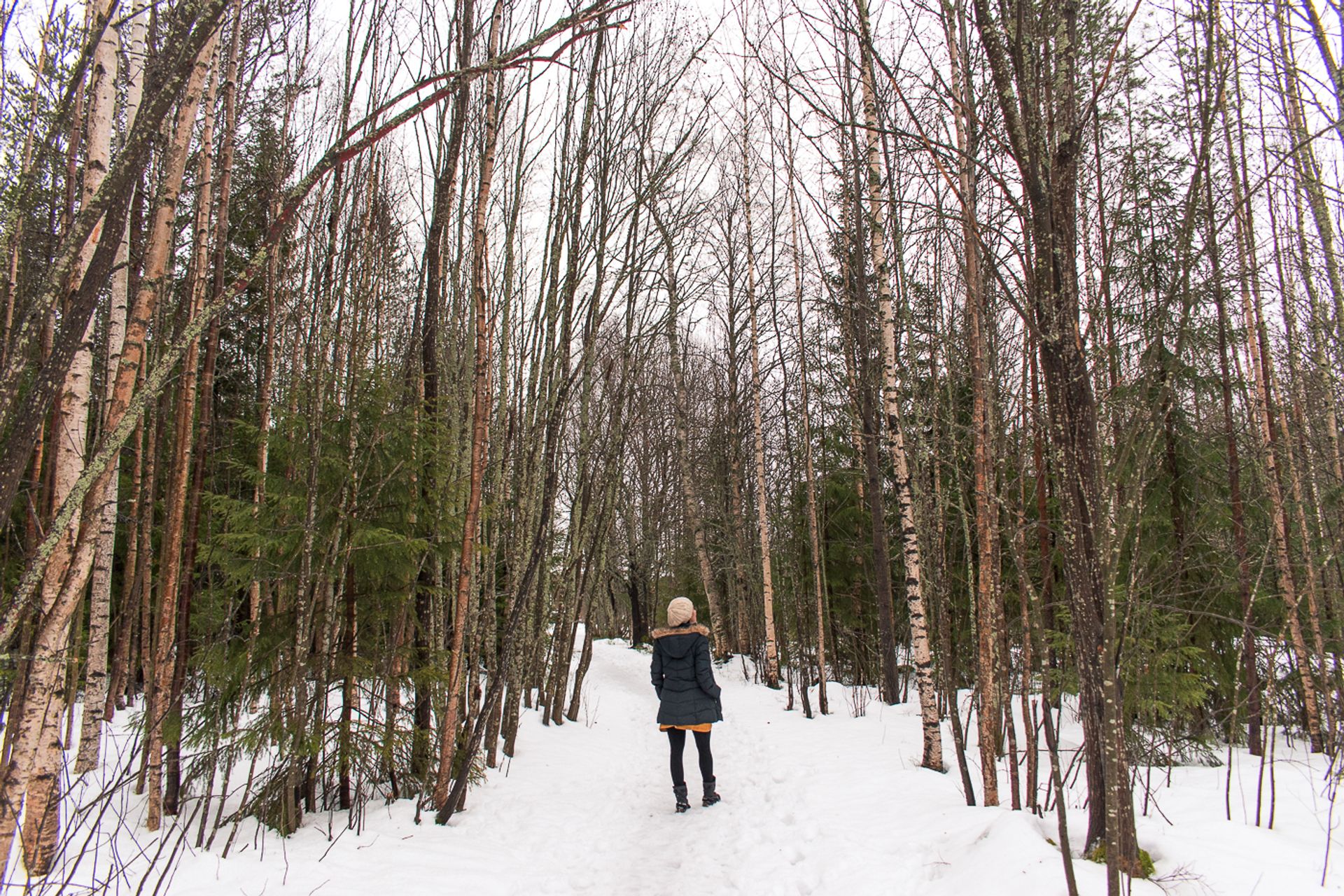 Person standing in a snowy forest.