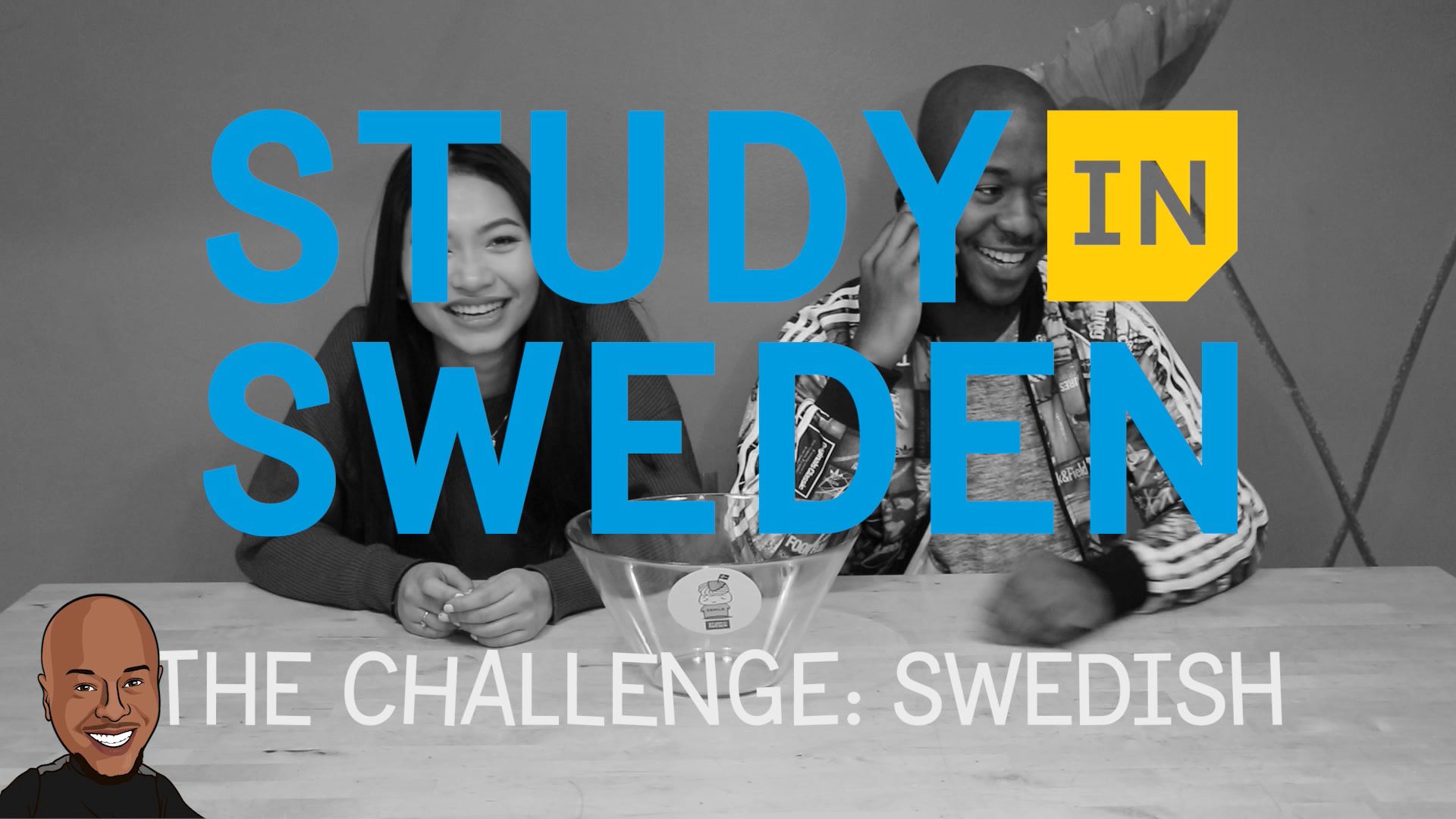 Photo showing the study in Sweden logo witht he swedish challenge