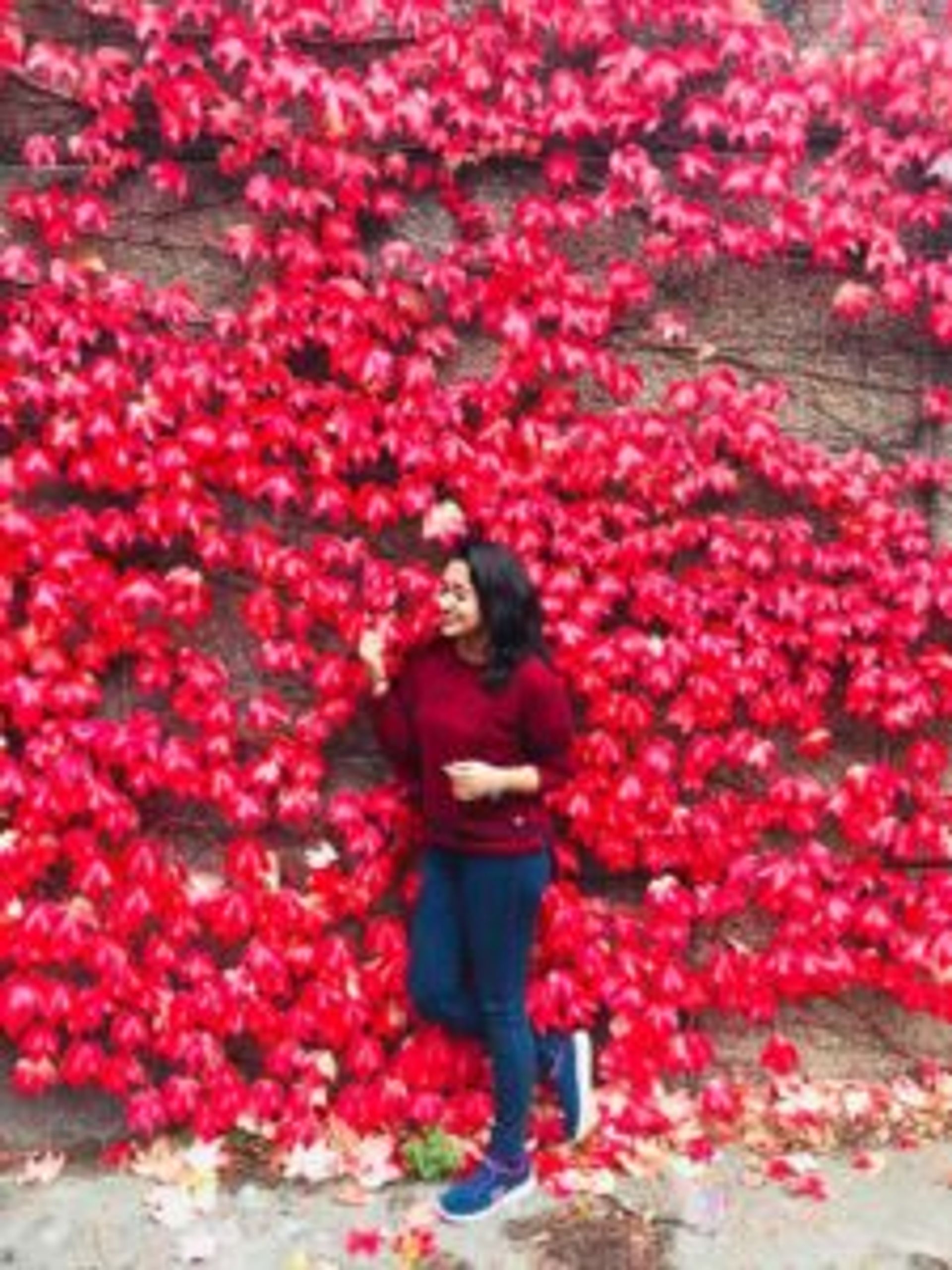 A student stands in front of a wall covered in red leaves.