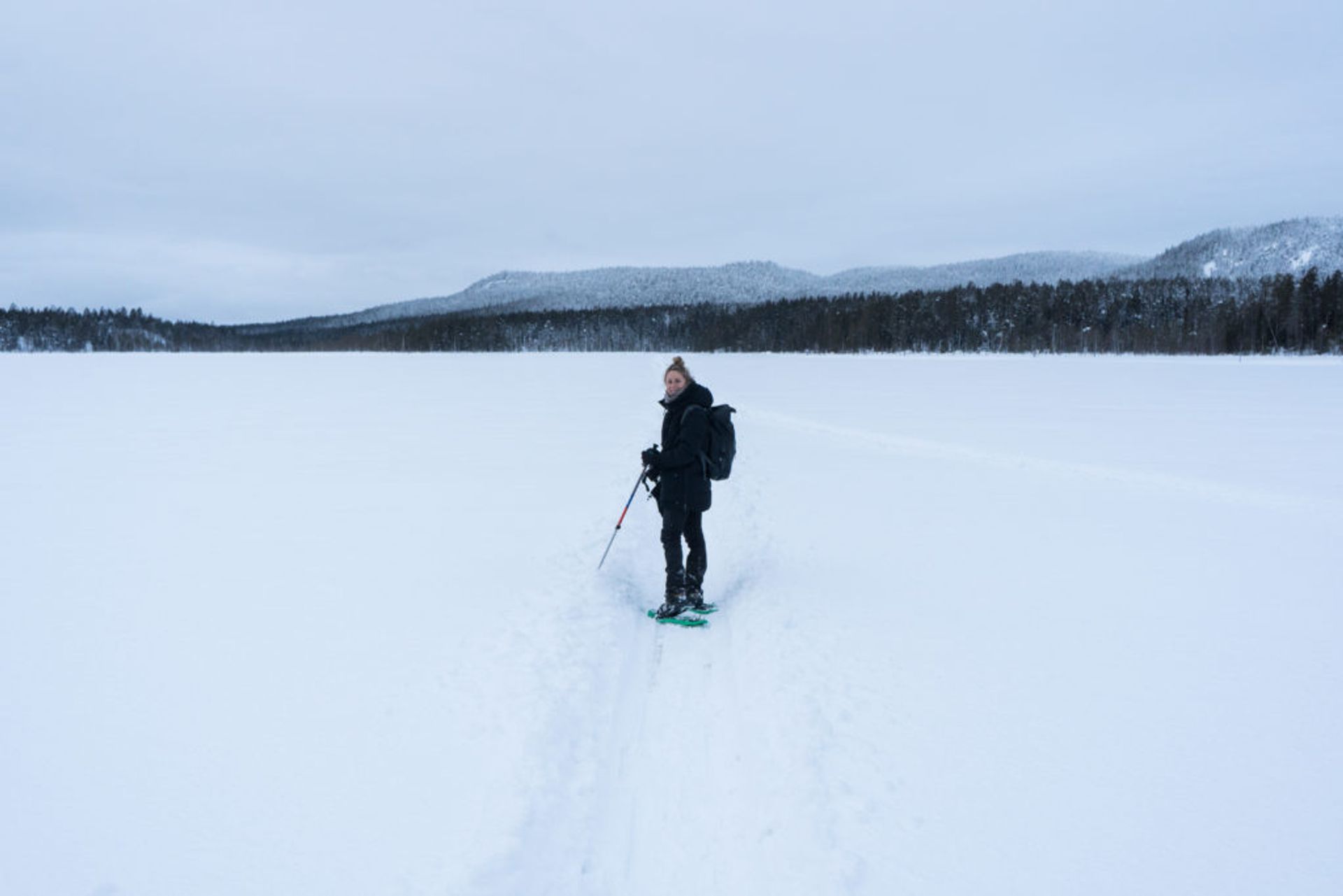 dog sledding