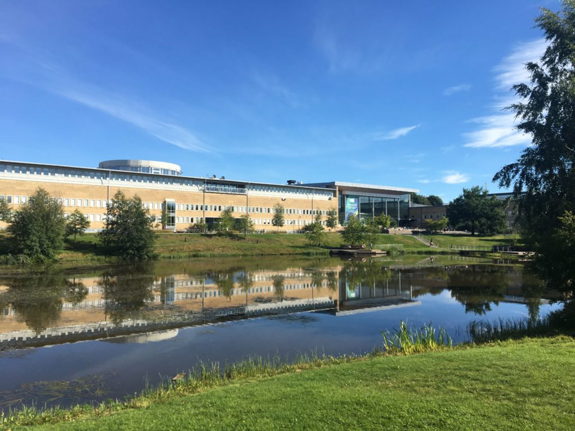 Umeå University