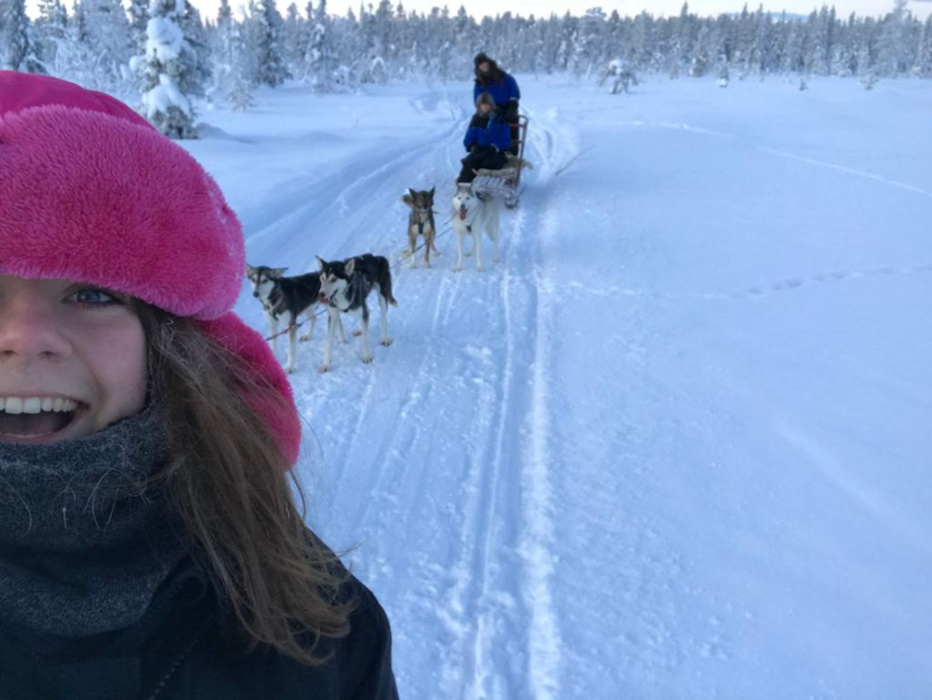 Me being extremely happy about the dog sledding, Source: Inez