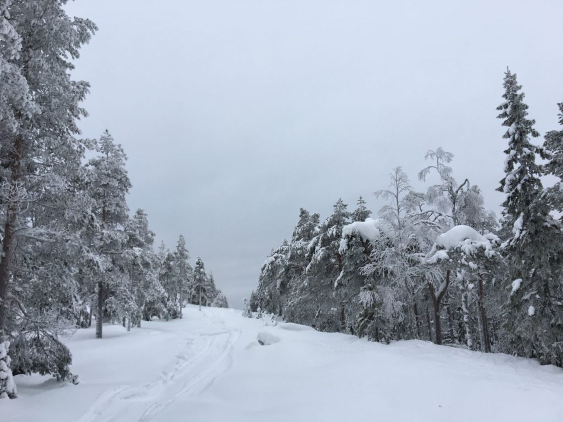 skiing