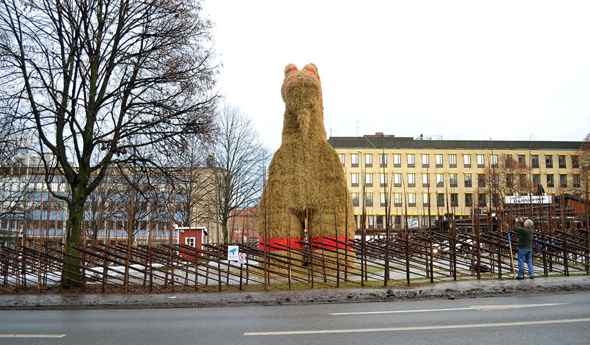 Front look of Gävlebocken