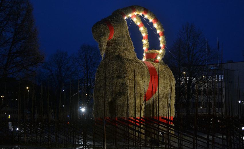 Gävle goat 2017 Study in Sweden