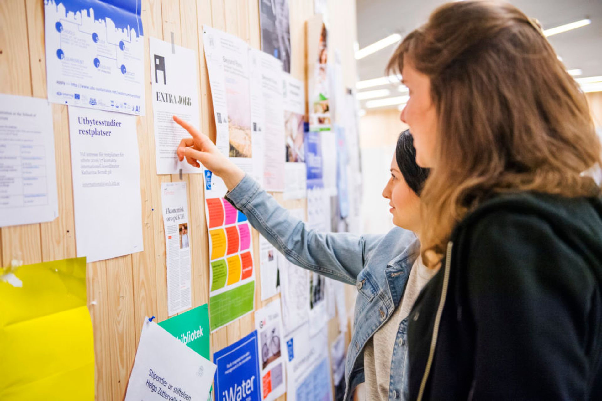 Students looking at a noticeboard.