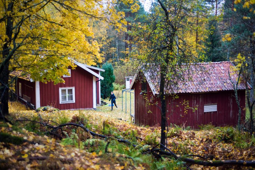 A lot of houses in Sweden are red Study in Sweden