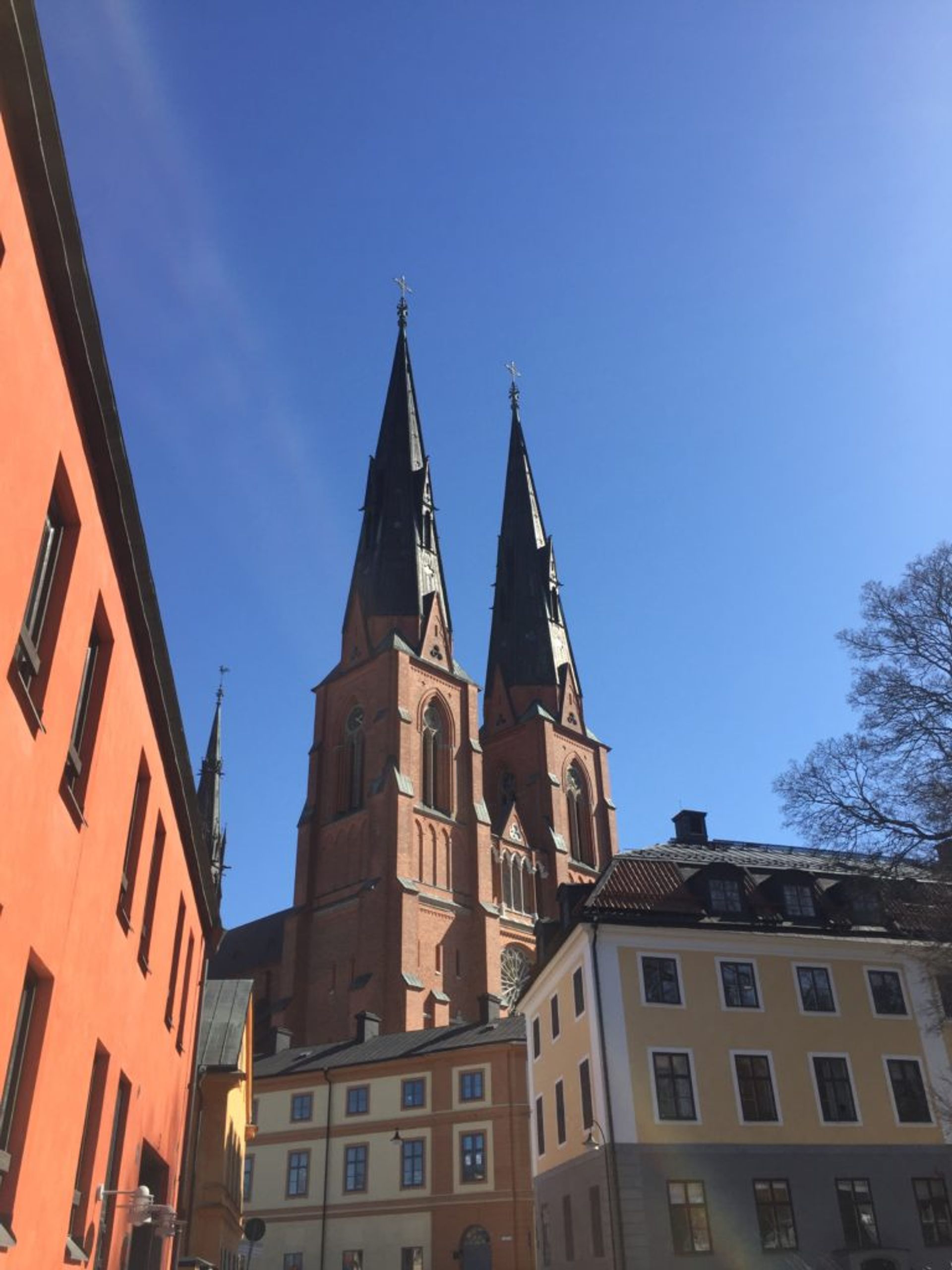 Uppsala cathedral