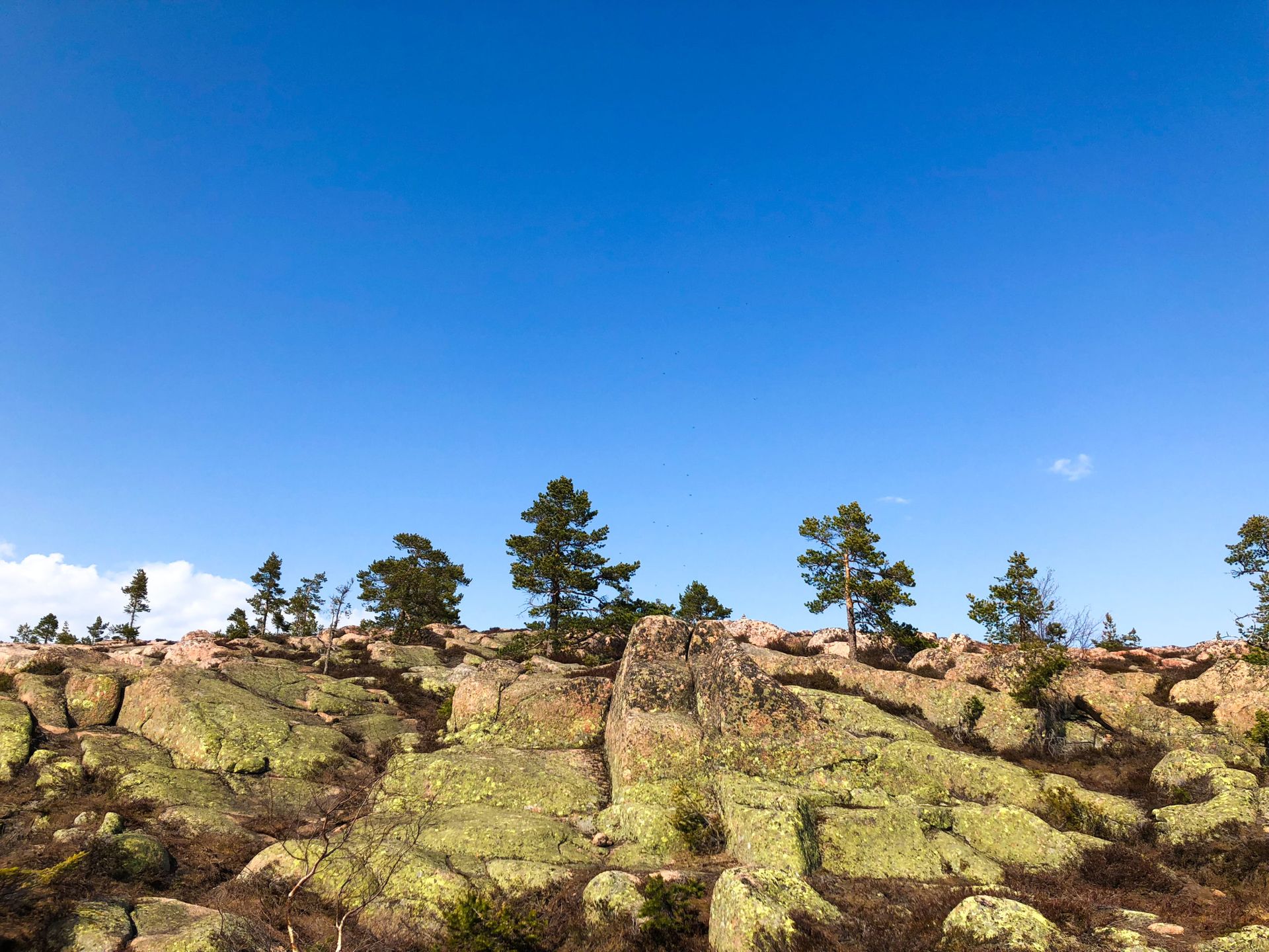 Skuleskogen National Park