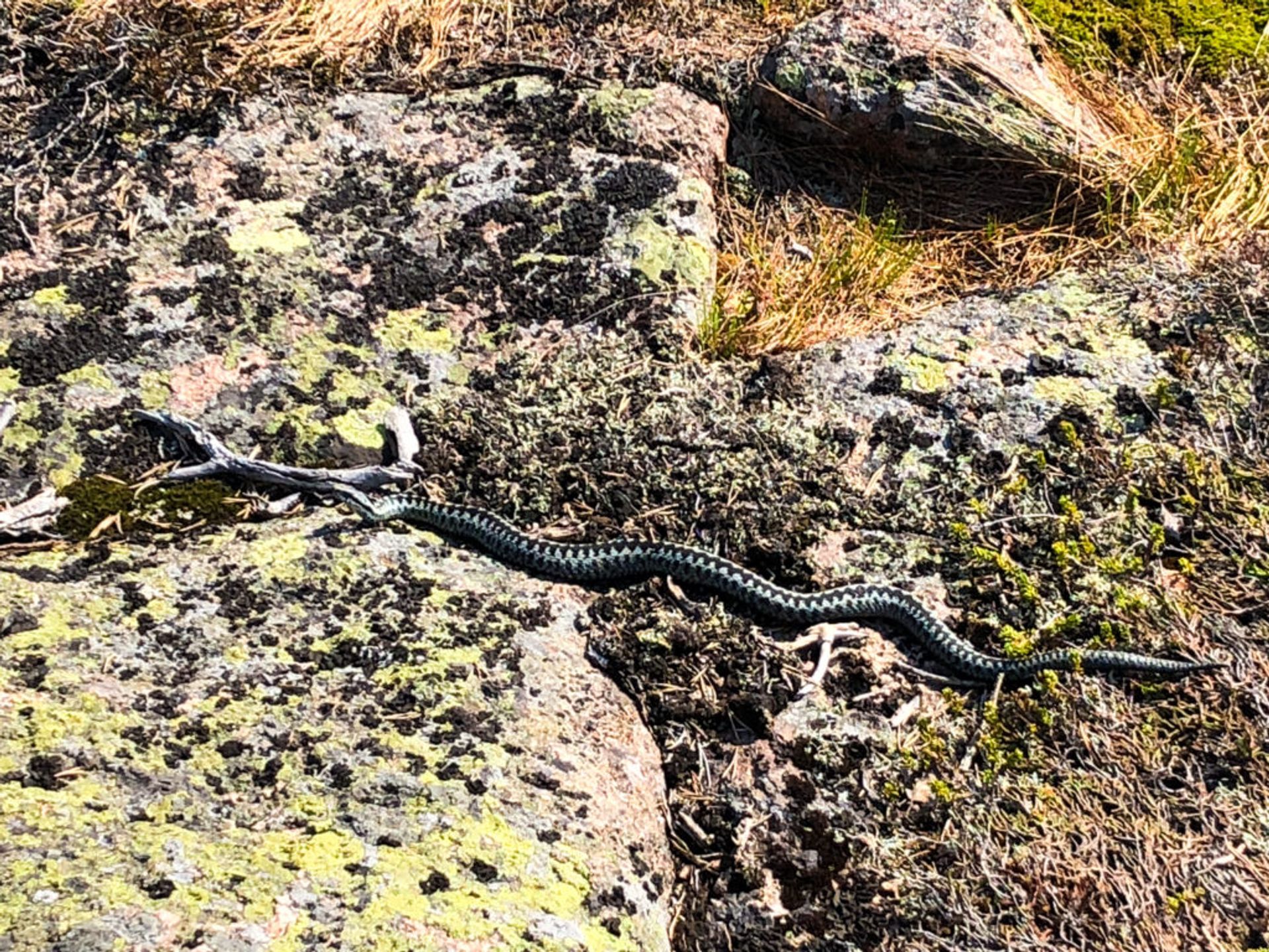 Skuleskogen National Park