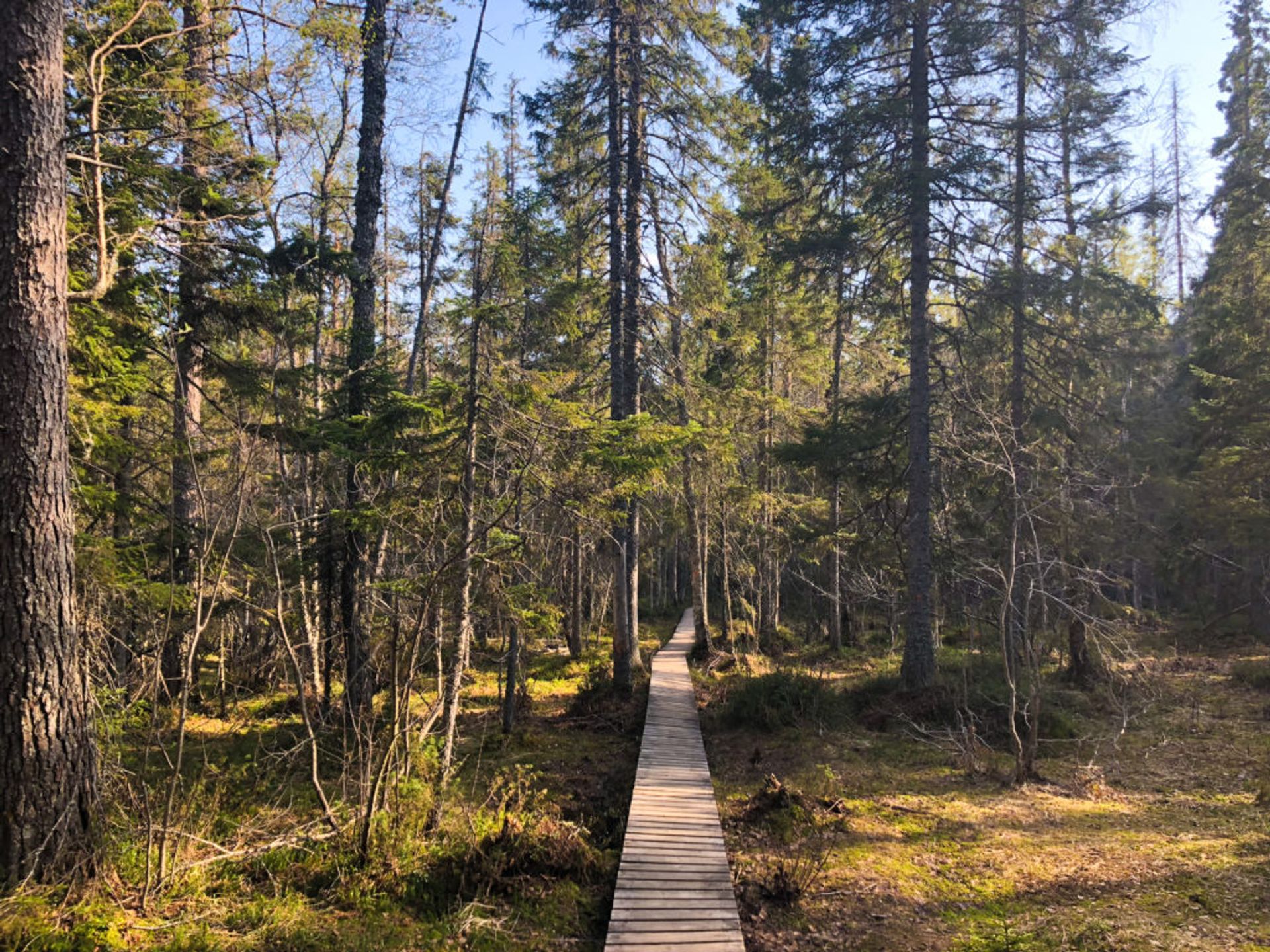 Skuleskogan National Park