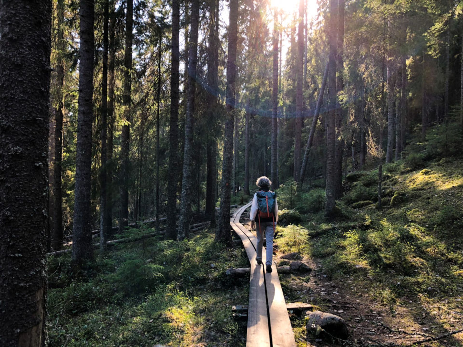 Skuleskogen National Park