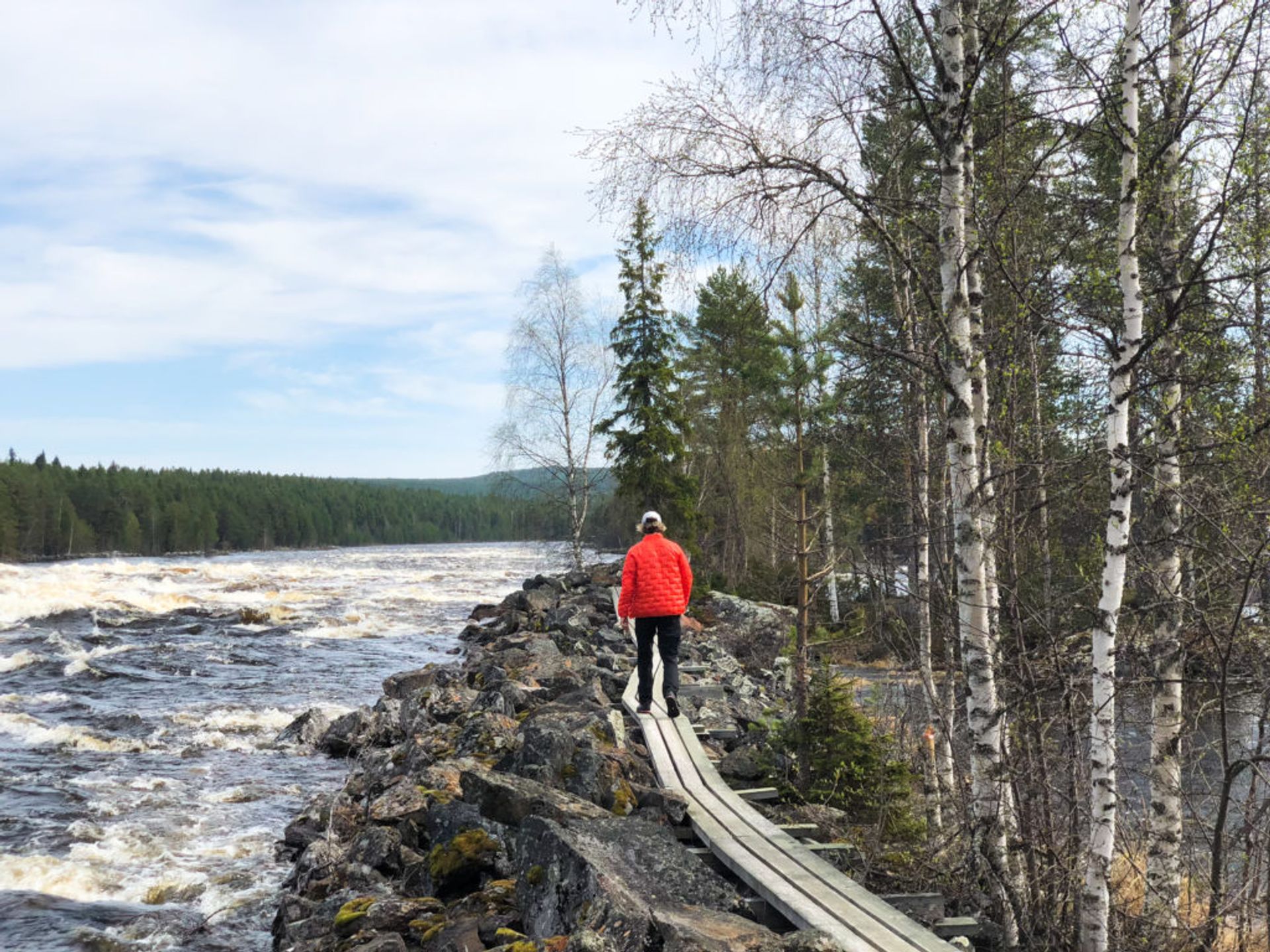 Mårdselforsens naturreservat